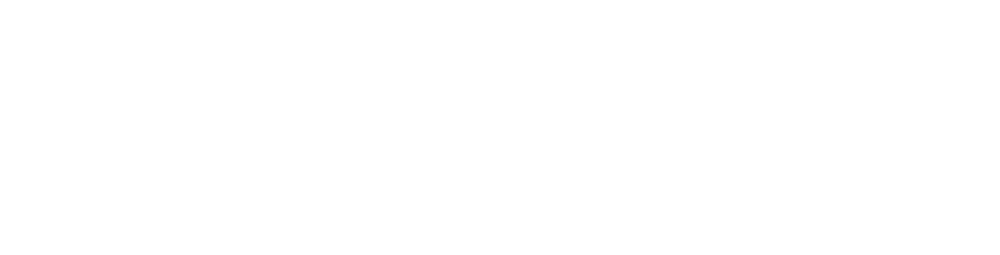 MDVS